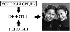 Рисунок к задаче
